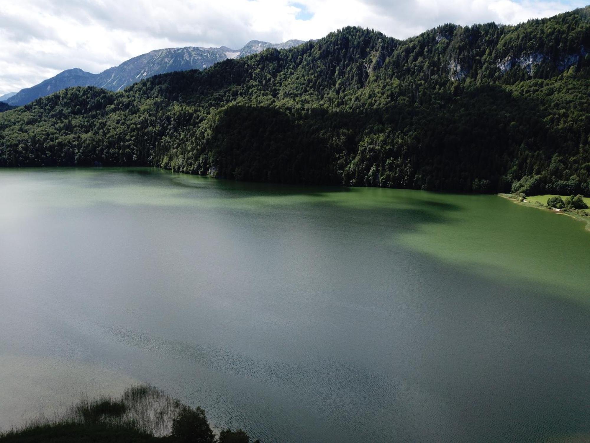 Landhaus Am Weissensee 福森 外观 照片